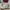 Converse 70's X Layzhang Cargo photo 2