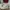 Converse 70's X Layzhang Cargo