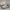 Converse 70's X Layzhang Cargo photo 5