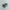 Salomon Xt-6 Goretex Low Grey Blue photo 1