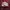 Nike Air Max 97 photo 2