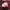 Nike Air max Tn  photo 1