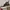 Converse Run Star Hike Hi Concrete Heat Black photo 4