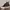 Converse Run Star Hike Hi Concrete Heat Black