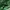Crewneck Covernat C logo green washed sweater nike carhartt photo 4
