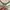 Colorbox Green Stripes Sleeveless Knit Midi Dress photo 4
