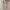 Colorbox Green Stripes Sleeveless Knit Midi Dress photo 5