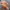 Streetwear Futurist Hat Pria multicolor photo 4