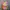 Streetwear Futurist Hat Pria multicolor photo 5