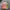Streetwear Futurist Hat Pria Multicolor