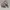 Onitsuka Tiger Mexico 66 Full Leather list France photo 1
