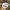 Roxy Y2K Skater Hat Wanita multicolor pink photo 4