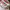 Roxy Y2K Skater Hat Wanita multicolor pink photo 8