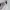 Reebok Streetwear Casual Sneakers Pria white cream photo 3