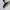 Reebok Streetwear Casual Sneakers Pria white cream photo 2