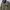 Parka Army Military M65