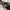 ZARA Sportswear Wristlet Wanita multicolor photo 5