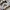 Birkenstock Casual Sandals & slide Pria silver photo 2