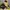 Nike Paul George 3 Black Mamba photo 1