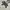 Shinzi Katoh Design in Japan Eimbordery Towell Gray Misty Pu photo 4