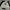 Shinzi Katoh Design in Japan Eimbordery Towell Gray Misty Pu photo 3