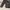 Flight jacket uni soviet cccp (leather) photo 5