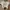 Pull&bear crop top white photo 1