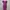 ACCENT Midi Dress