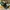 Topi Modern Booth Boston Celtics Falcons photo 2