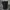 Boardshorts Rusty Contrast Stich Double Pocket  photo 5
