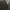 Cargo Pants Bobson Pattern Floral photo 2