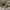 Boardshorts Nike ACG Double Pocket Pattern Triangel photo 7