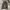 [PROFESIONAL] Baggy Jeans DarkGrey⛓️‍💥 photo 6