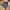 Nike Dri-Fit Track Top Jacket Casual Sport - Gray photo 2