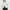 ISSEY MIYAKE Pleats Please Pleated Cardigan Women Made in Ja photo 2