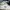 Adidas Drop Step White kulit size 43 photo 1