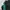 Adidas petronas mercedes dryfit photo 3