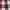 Burberry london red white check shirt  photo 3