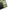 GU studio seven honest college flannel overshirt photo 6