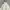 Spao Corduroy Puffer Jacket photo 5