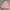 Pinky Corduroy Puffer Jacket photo 3