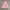 Pinky Corduroy Puffer Jacket photo 2