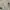 Fudgestore Halfzip Nylon Jacket Broken White(3B-23) photo 4