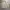 Discovery Sport Windbreaker Jacket photo 4
