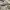 Discovery Sport Windbreaker Jacket photo 7