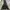 Trespass Padded Women's Jacket Hooded Winbreaker Black (3B-3 photo 7
