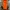 Nike Padded Jacket Hooded Threetone (3B-22 ) photo 5