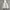 Discovery Puffer Hooded Down Jacket photo 3