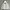 Discovery Puffer Hooded Down Jacket