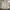 Covernat Reverseable Jacket Hooded Canvas & sherpa (3B-30) photo 3